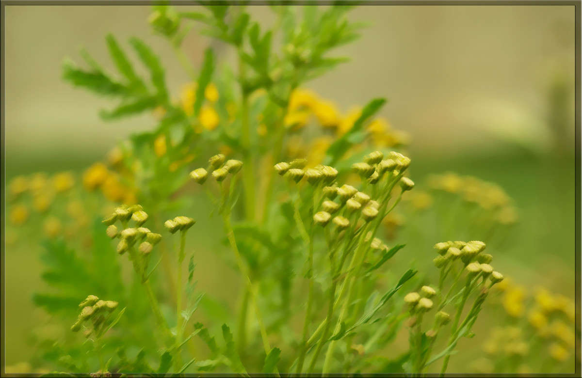 ������� ���������� ����� ������  �� PhotoGeek.ru #������ ��� �������