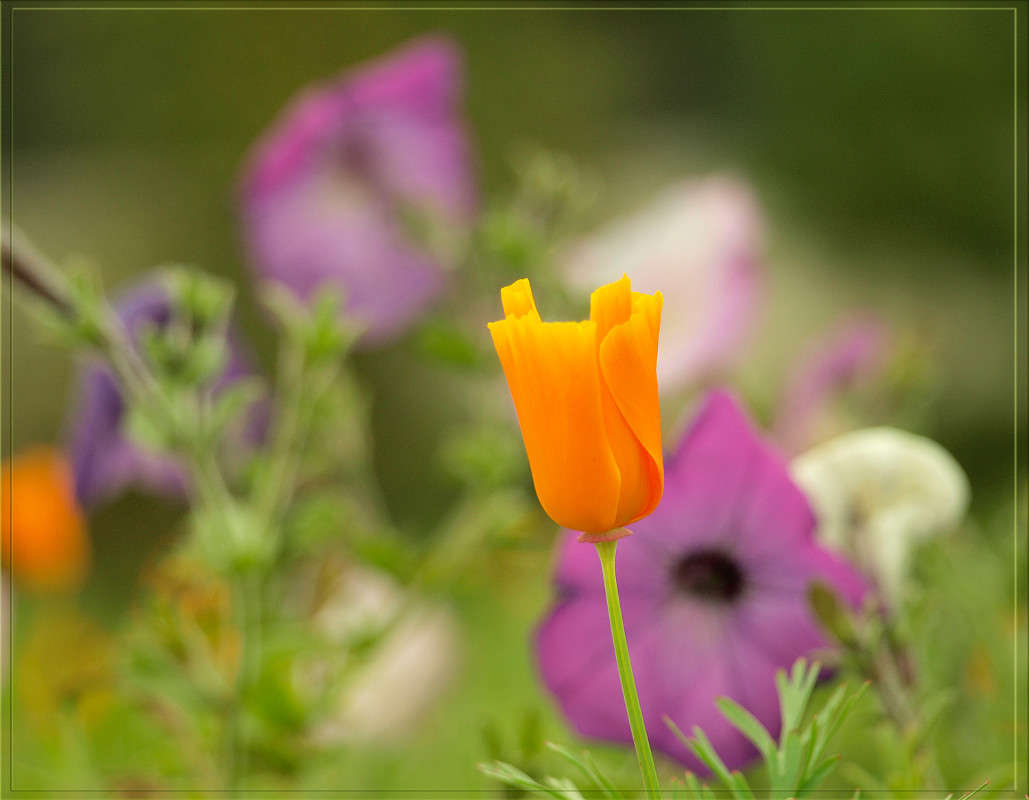 �����-������ ����� ������  �� PhotoGeek.ru #������ ��� �������