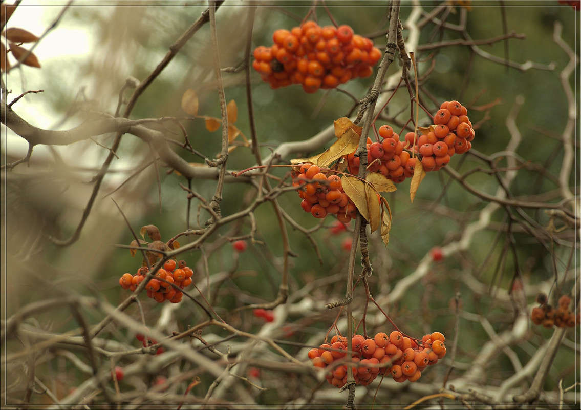 �� ������... ����� ������  �� PhotoGeek.ru #������ ��� �������