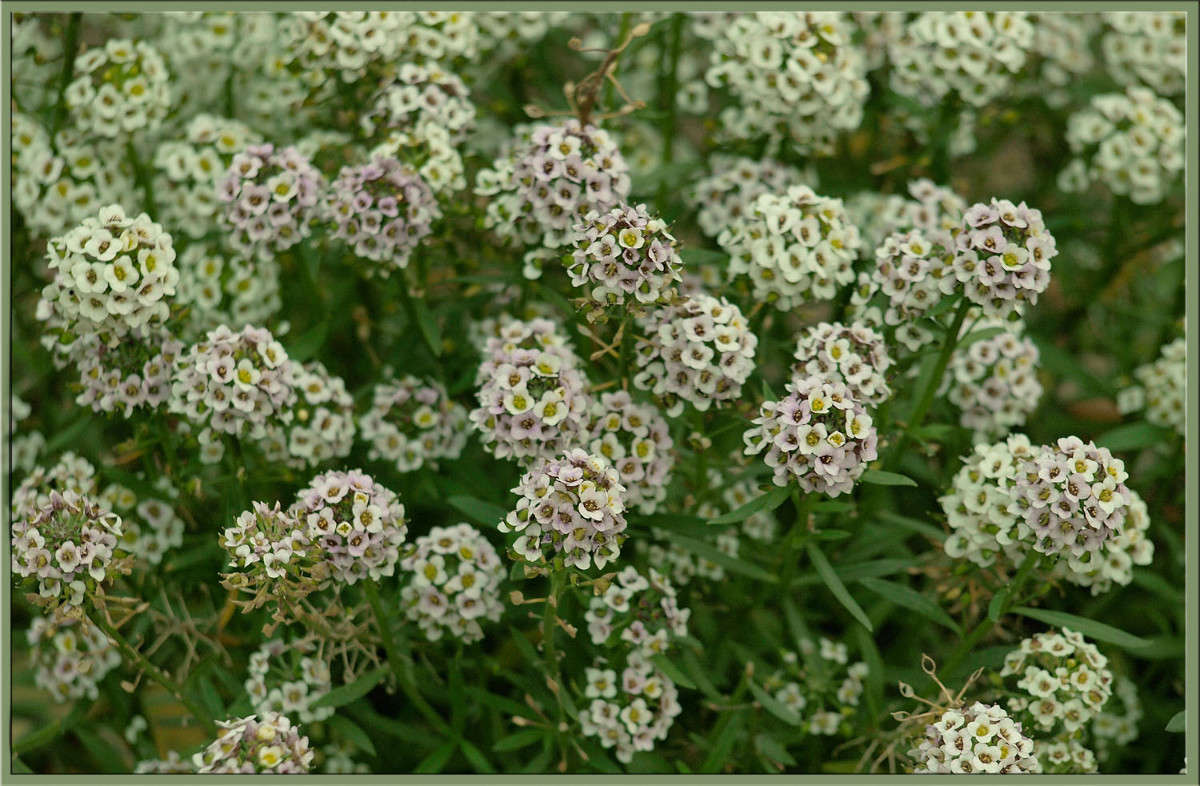 ������ ����� ������  �� PhotoGeek.ru #������ ��� �������