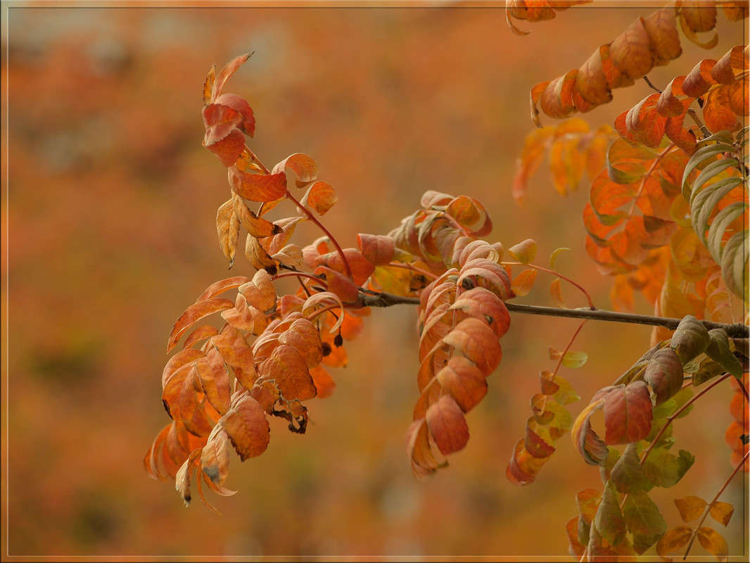 ��� ������ ��������� ����� ������  �� PhotoGeek.ru #������ ��� �������