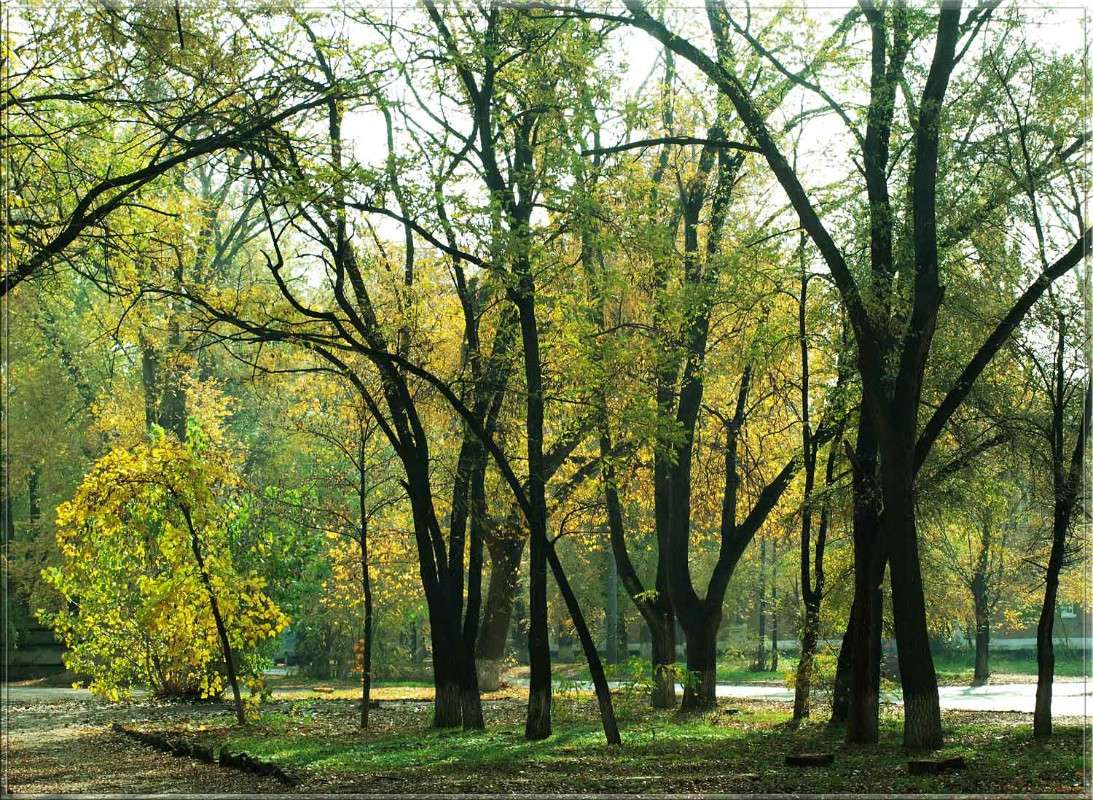 � ������ ������ ����� ������  �� PhotoGeek.ru #�����