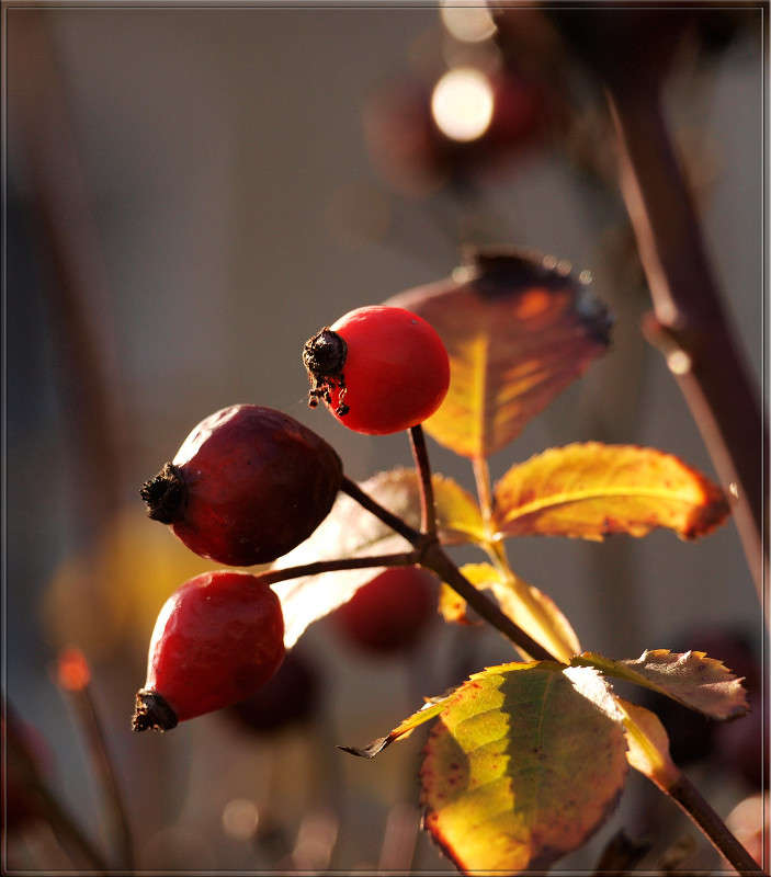 ������ ������ ����� ������  �� PhotoGeek.ru #������ ��� �������