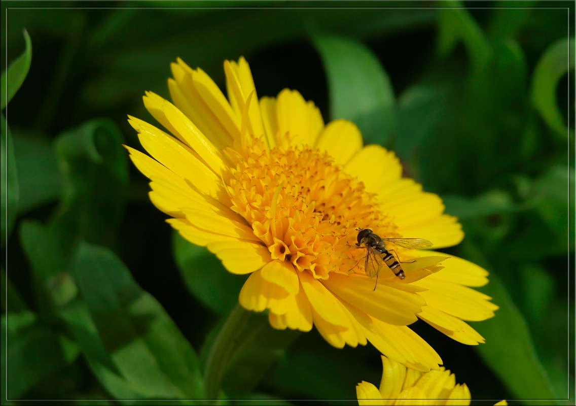 ���������� ������� ����� ������  �� PhotoGeek.ru #������ ��� �������