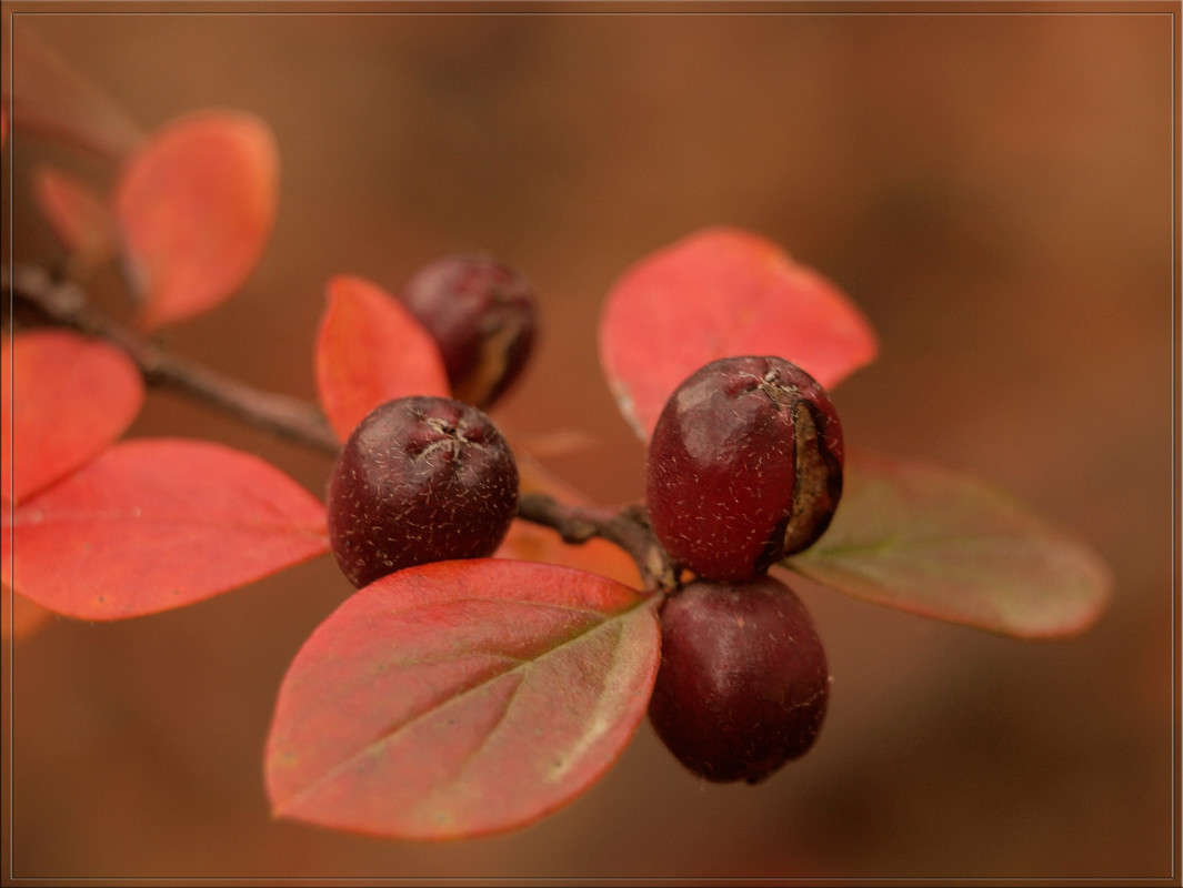 ���������� ��������� ����� ������  �� PhotoGeek.ru #������ ��� �������