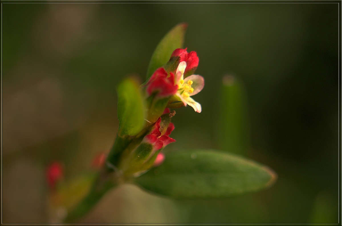 ������� � ����� ����� ������  �� PhotoGeek.ru #������ ��� �������