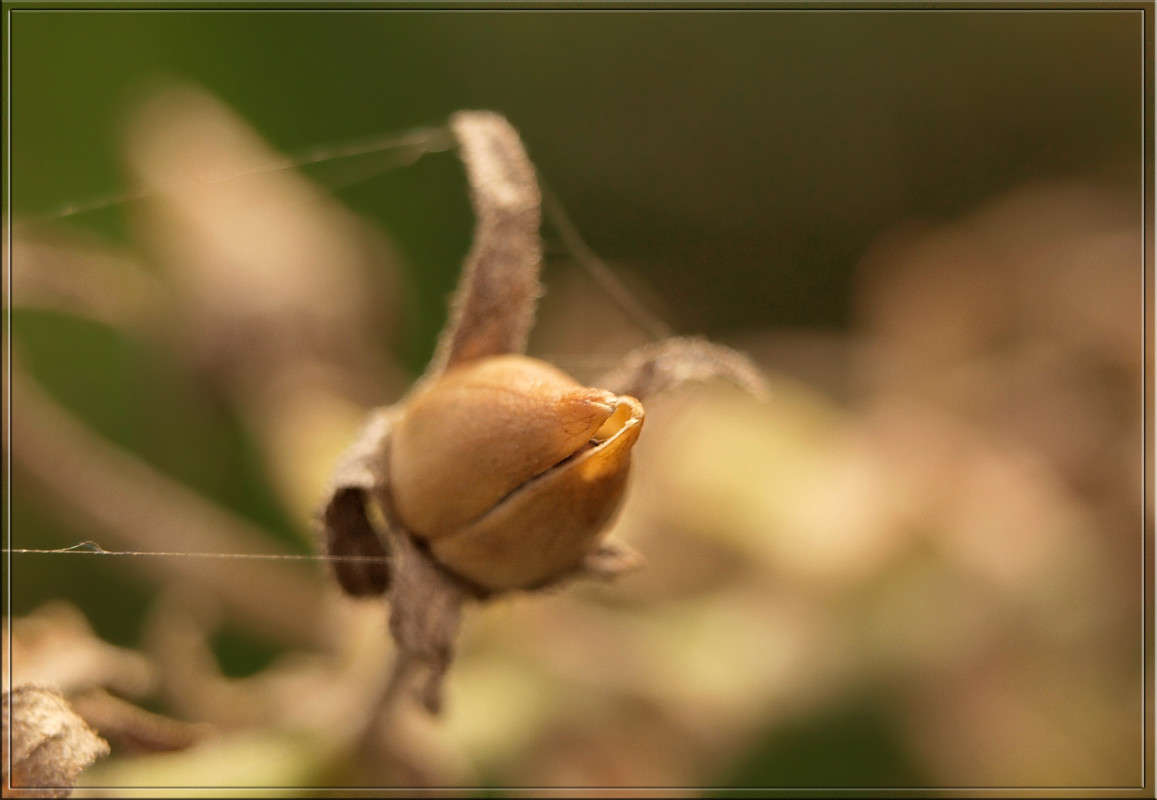 ���������� ����� ������  �� PhotoGeek.ru #������ ��� �������