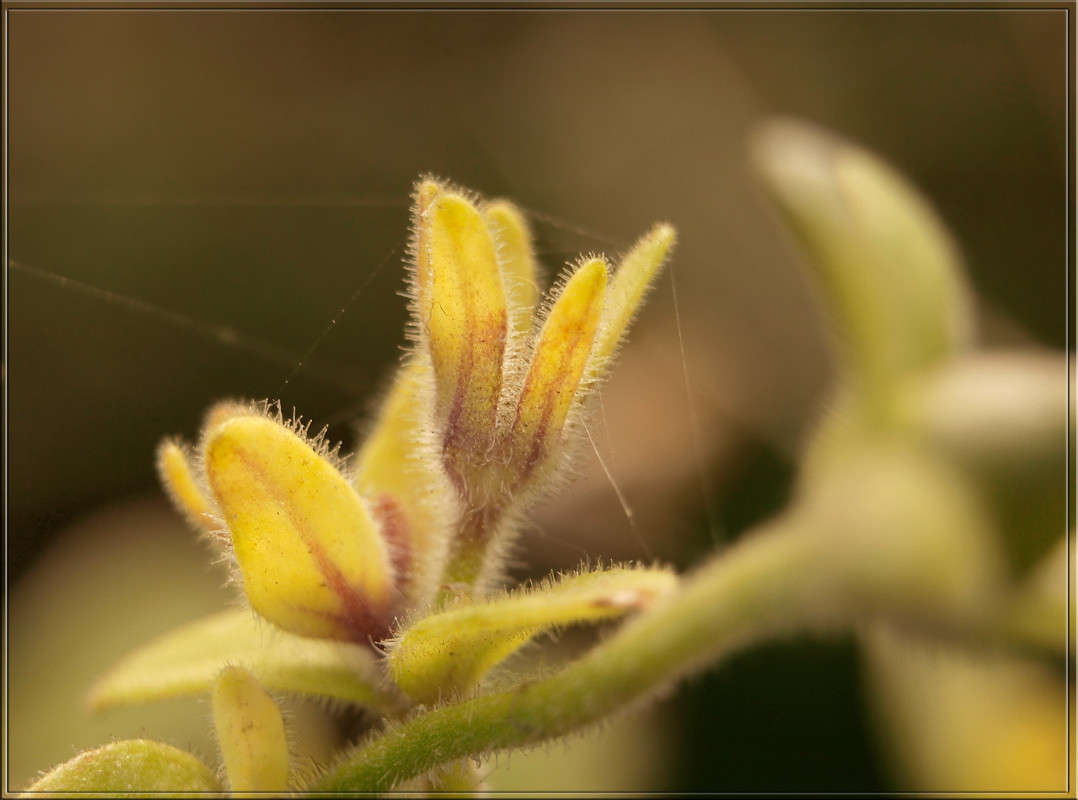 ������ ����� ����� ������  �� PhotoGeek.ru #������ ��� �������