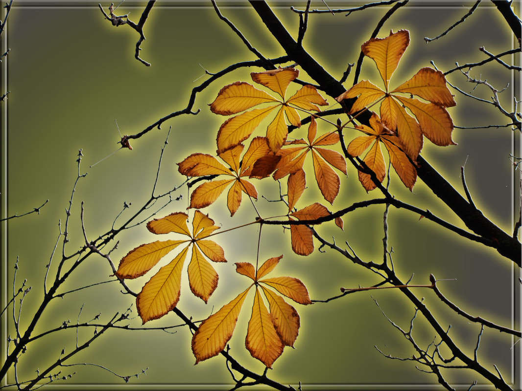 ���������� ������ ����� ������  �� PhotoGeek.ru #������ ��� �������