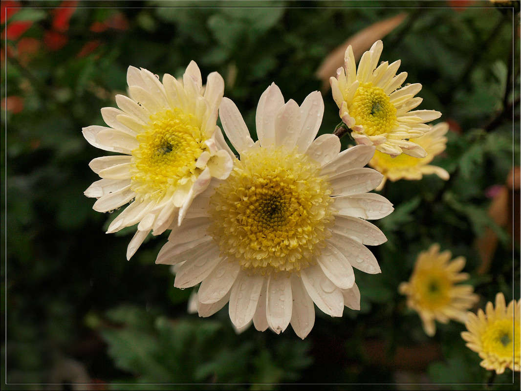 ��� ����� ����� ������  �� PhotoGeek.ru #������ ��� �������