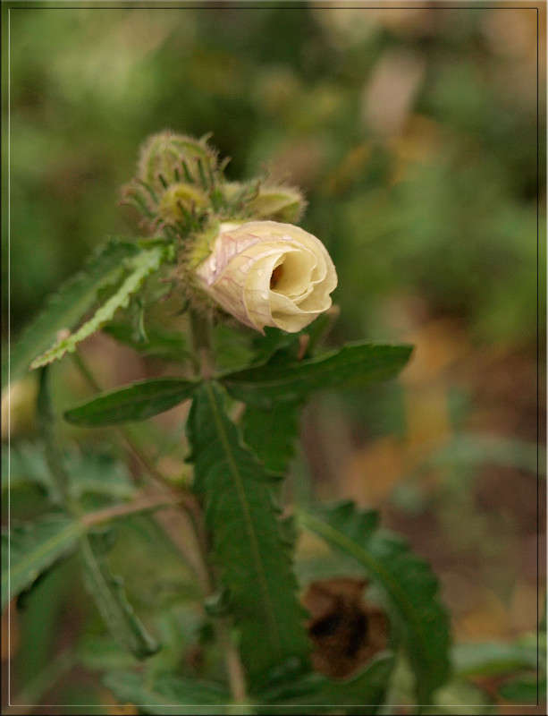 �������� ����� ������  �� PhotoGeek.ru #������ ��� �������