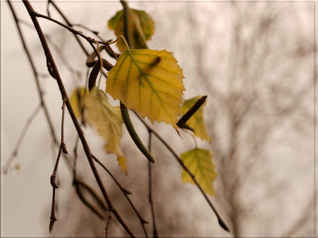 �������� ������ ����� ������  �� PhotoGeek.ru #������ ��� �������