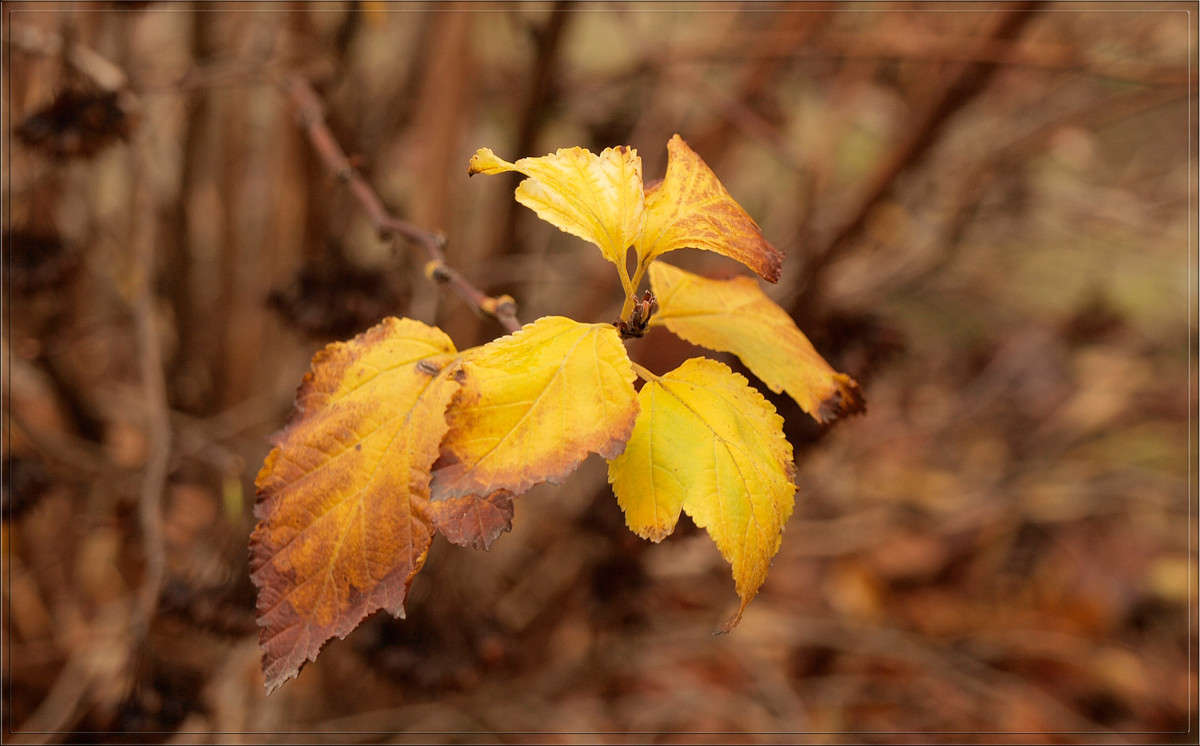 ��� ��� ������ ����� ������  �� PhotoGeek.ru #������ ��� �������