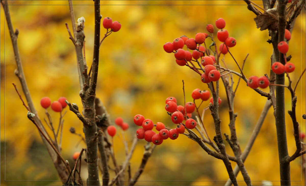 ��� ������� ������ ����� ������  �� PhotoGeek.ru #������ ��� �������