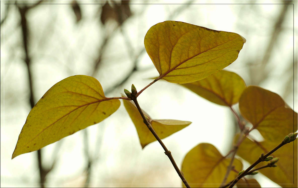 ������ 1 ����� ������  �� PhotoGeek.ru #������ ��� �������