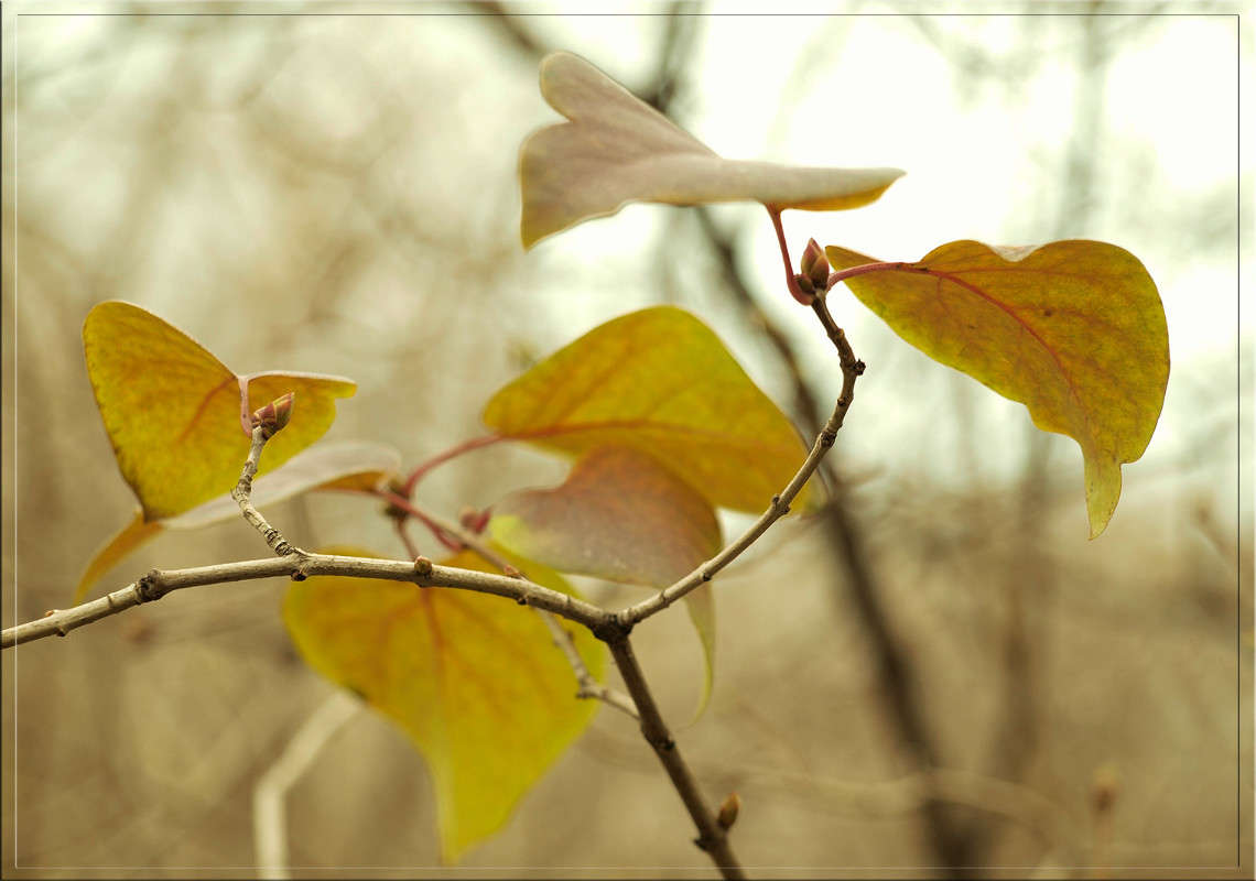 ������ 2 ����� ������  �� PhotoGeek.ru #������ ��� �������