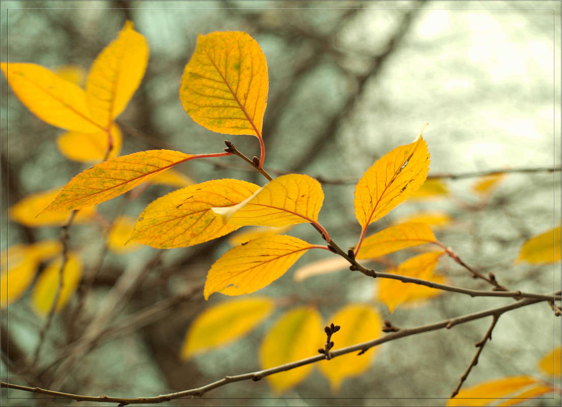 ������ 3 ����� ������  �� PhotoGeek.ru #������ ��� �������