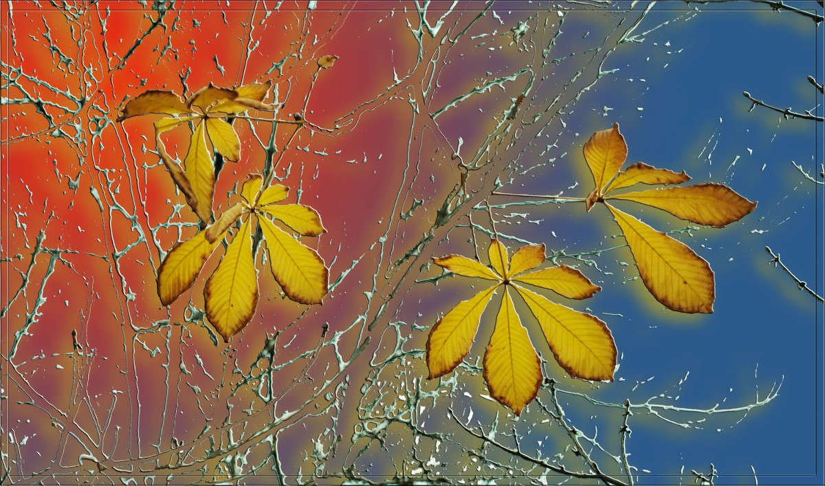 ������ 4 ����� ������  �� PhotoGeek.ru #������ ��� �������