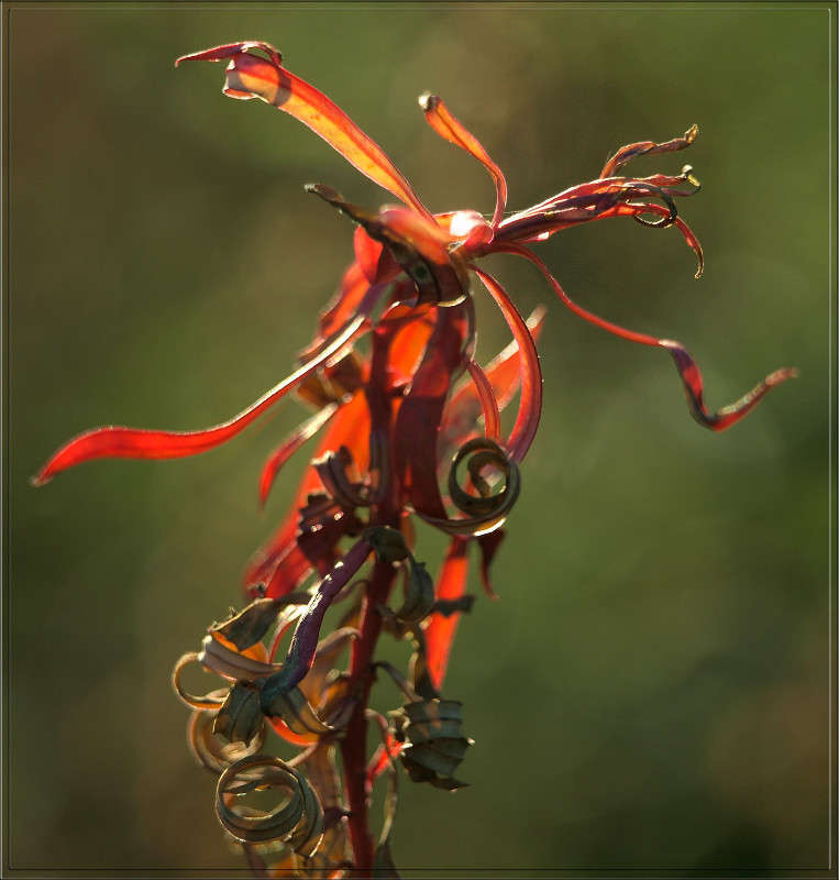 ����������� ����� ������  �� PhotoGeek.ru #������ ��� �������