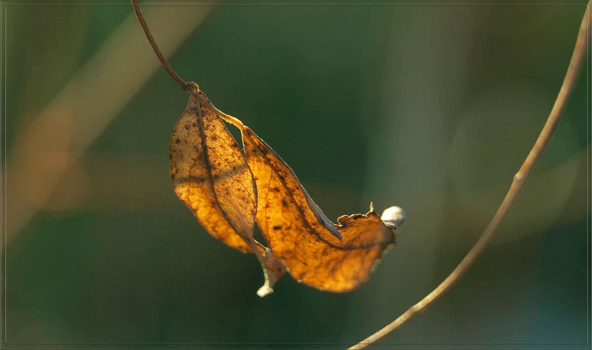 ������ 5 ����� ������  �� PhotoGeek.ru #������ ��� �������