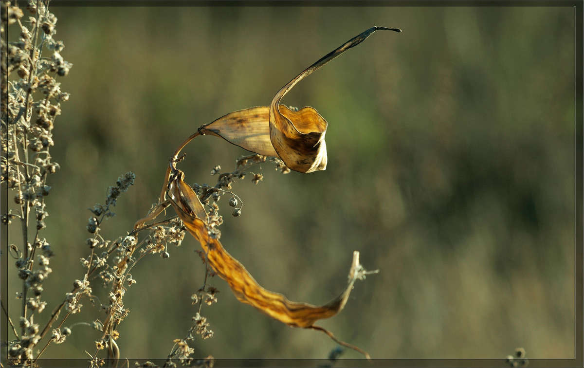 ������ 6 ����� ������  �� PhotoGeek.ru #������ ��� �������