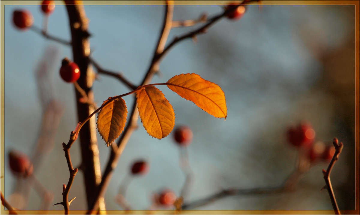 ������ 7 ����� ������  �� PhotoGeek.ru #������ ��� �������