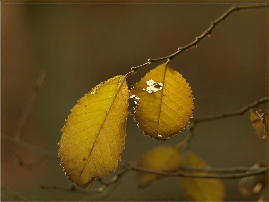 ������ 8 ����� ������  �� PhotoGeek.ru #������ ��� �������