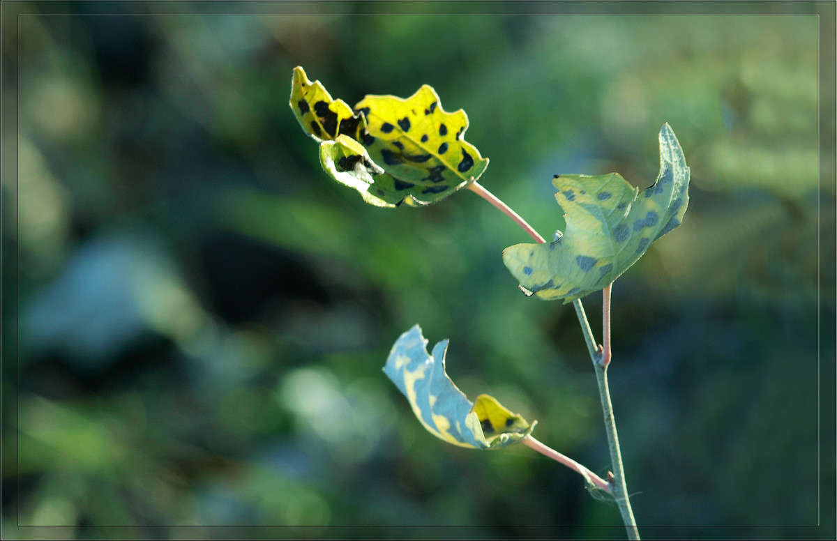 ������ 9 ����� ������  �� PhotoGeek.ru #������ ��� �������