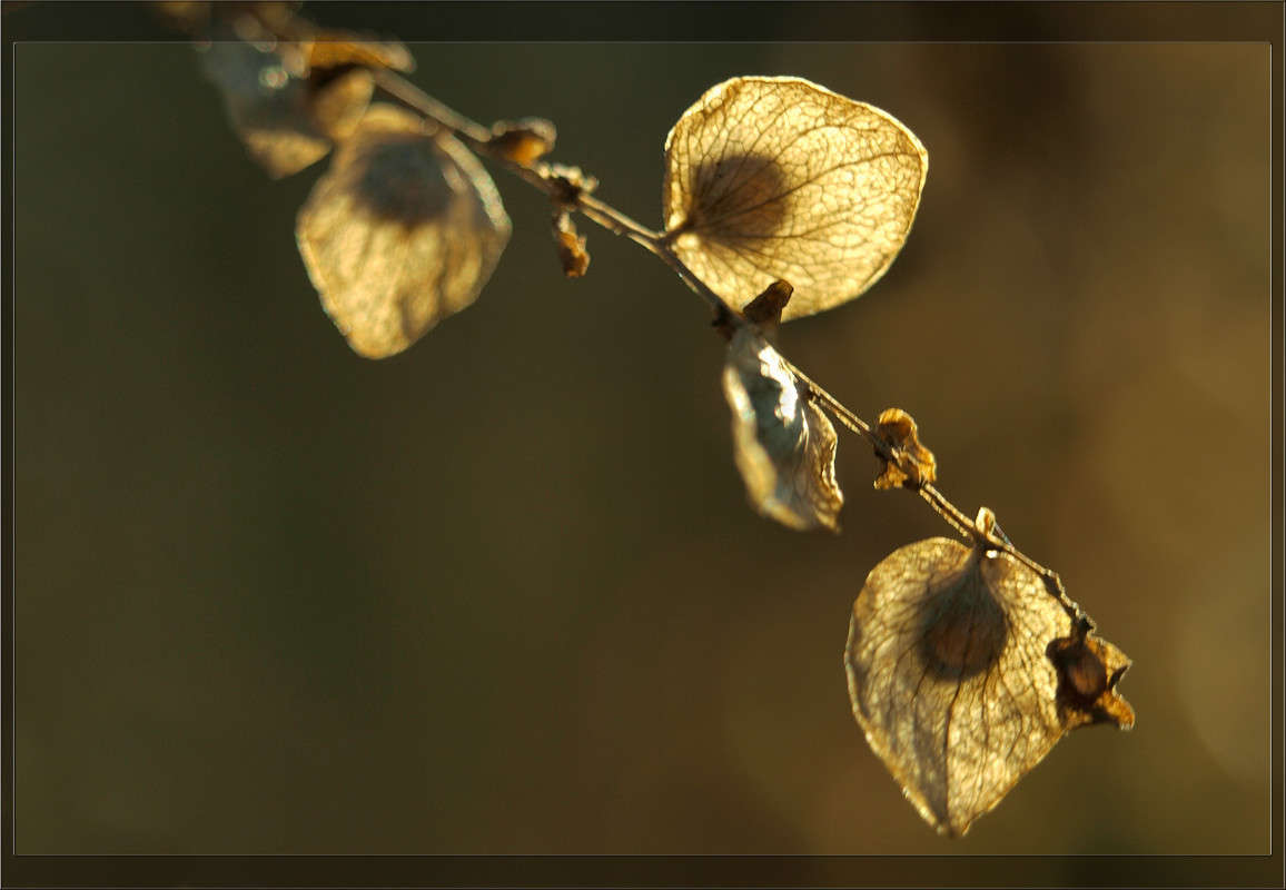 ������� ����� ������  �� PhotoGeek.ru #������ ��� �������