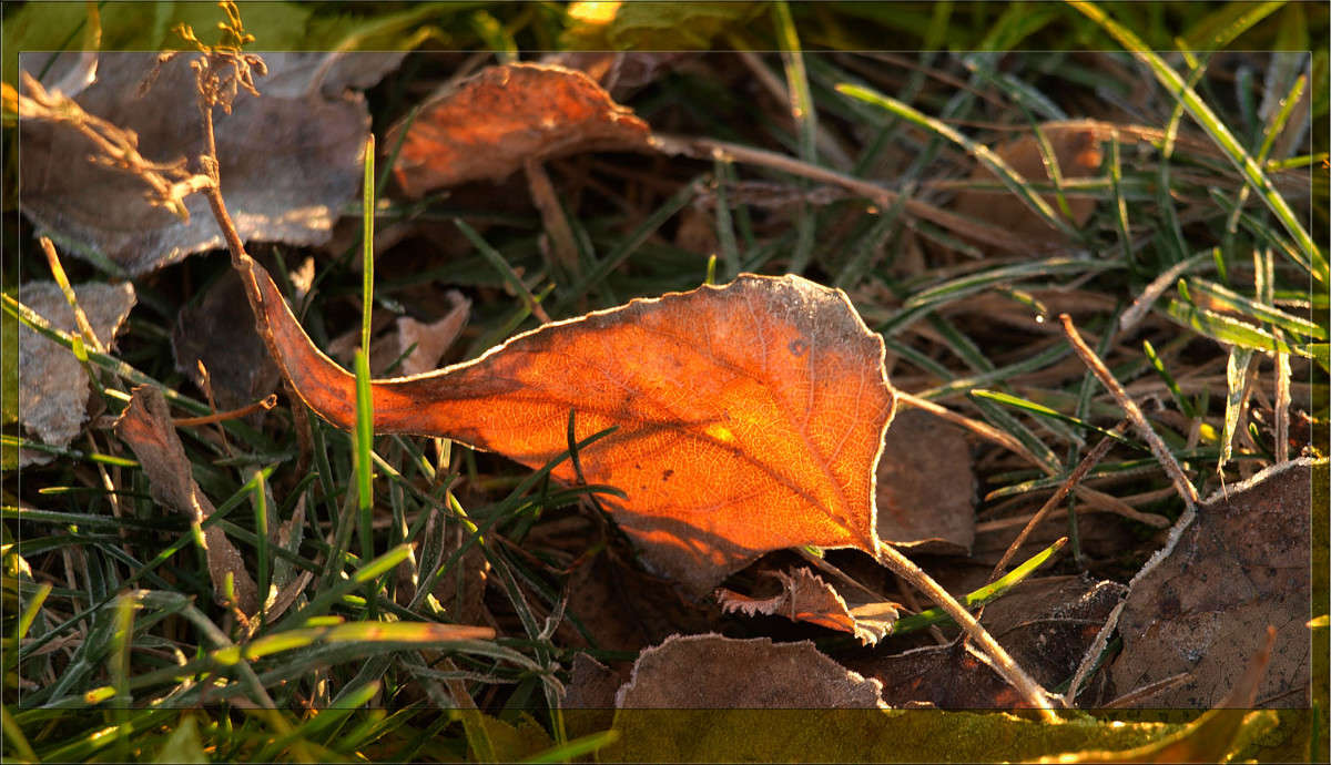 ... ����� ������  �� PhotoGeek.ru #������ ��� �������