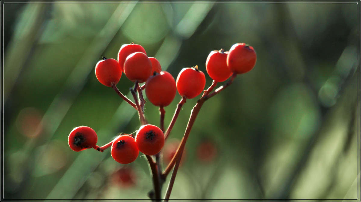 ��������� � �������� ����� ������  �� PhotoGeek.ru #������ ��� �������