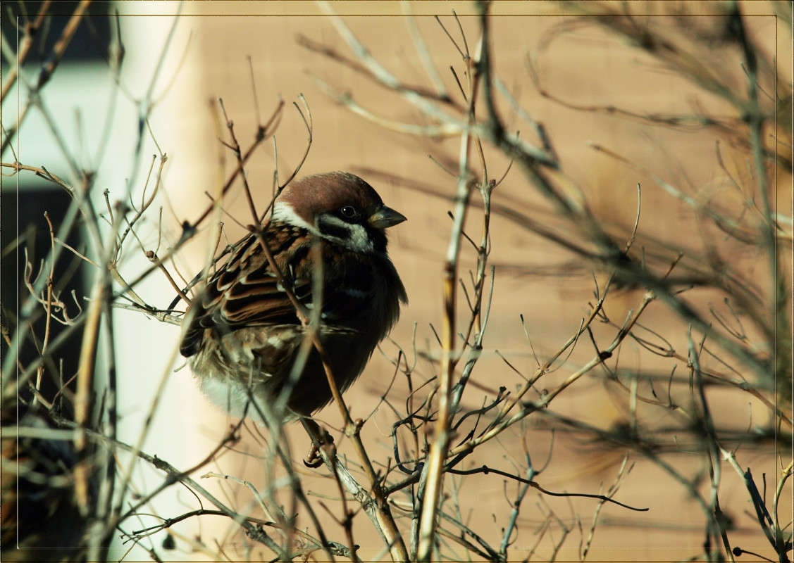 ... ����� ������  �� PhotoGeek.ru #�������� ���