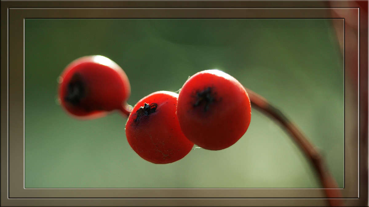 ... ����� ������  �� PhotoGeek.ru #������ ��� �������