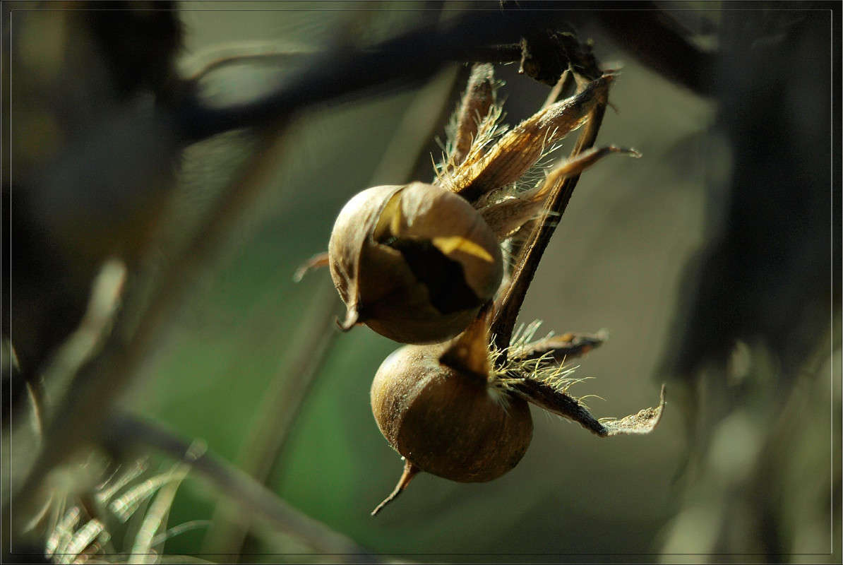 ��� ����� ����� ������  �� PhotoGeek.ru #������ ��� �������