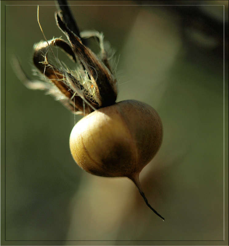 ���� ����� ����� ������  �� PhotoGeek.ru #������ ��� �������