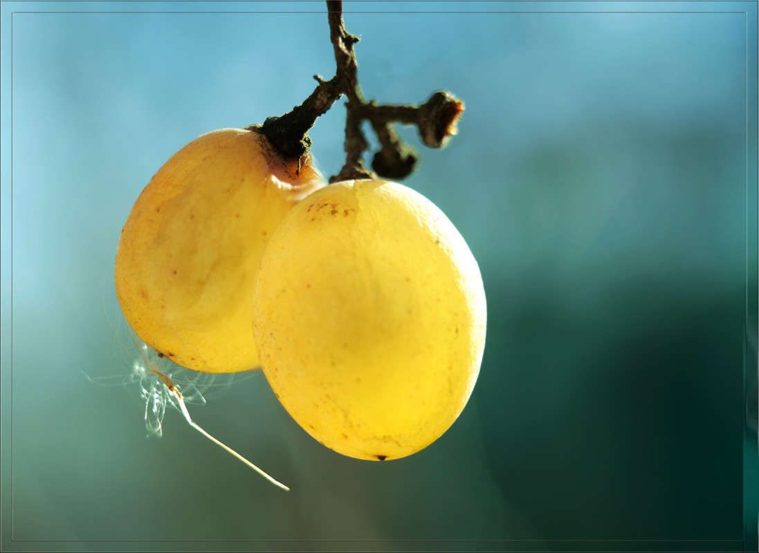 ������� ����� ������  �� PhotoGeek.ru #������ ��� �������