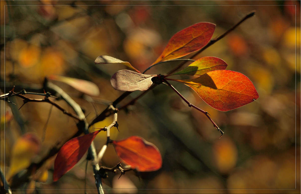 ������ 11 ����� ������  �� PhotoGeek.ru #������ ��� �������