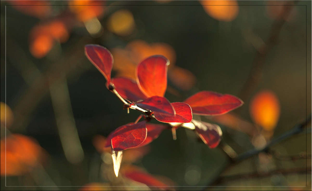 ������ 12 ����� ������  �� PhotoGeek.ru #������ ��� �������