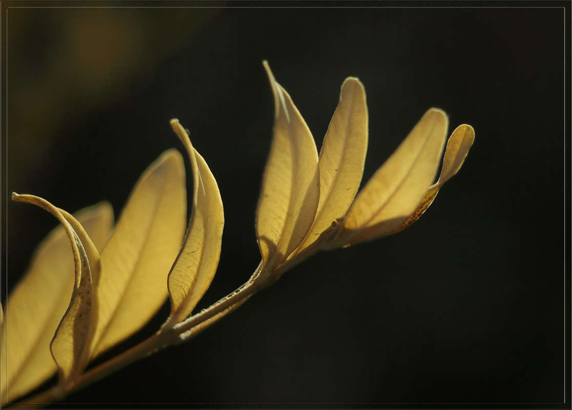 ������ 13 ����� ������  �� PhotoGeek.ru #������ ��� �������