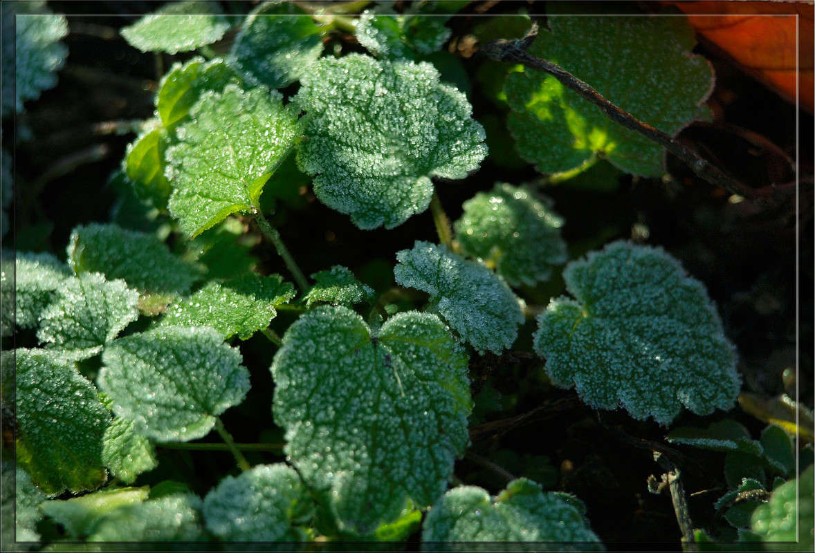 ��������� �� ����� ����� ������  �� PhotoGeek.ru #������ ��� �������