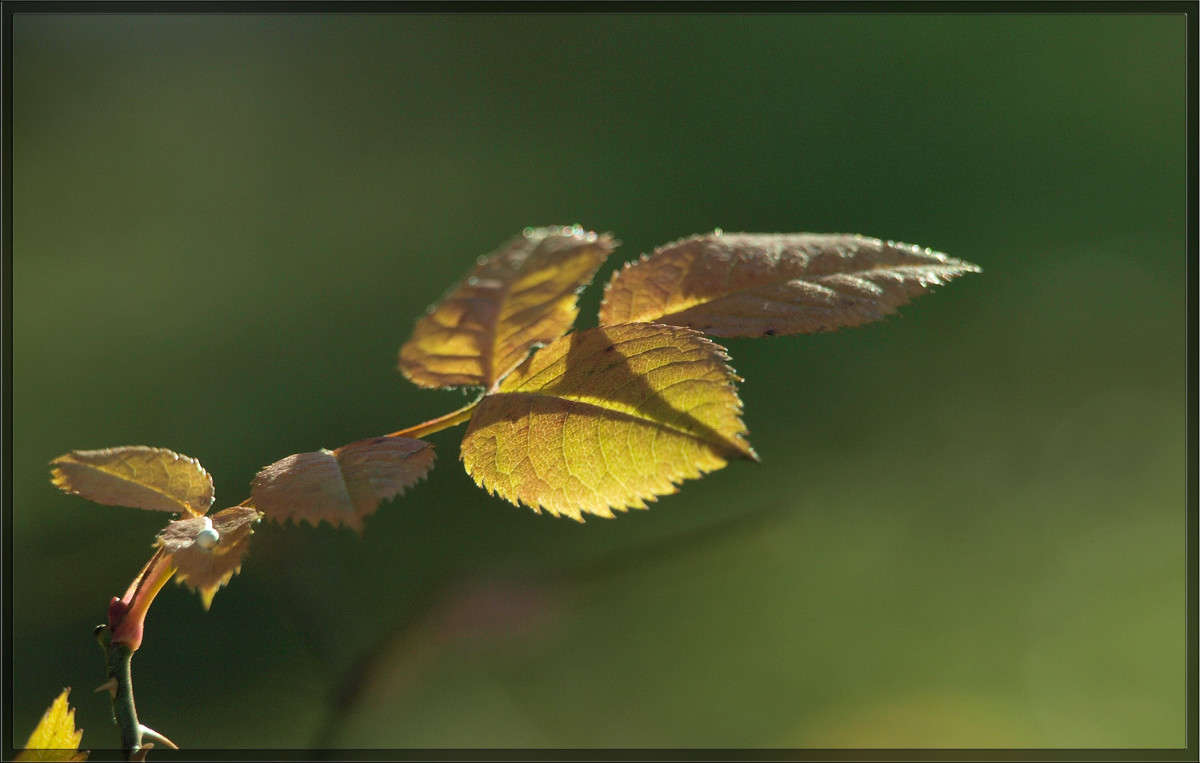 ������ 14 ����� ������  �� PhotoGeek.ru #������ ��� �������