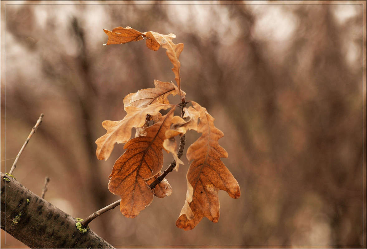 ������ 15 ����� ������  �� PhotoGeek.ru #������ ��� �������