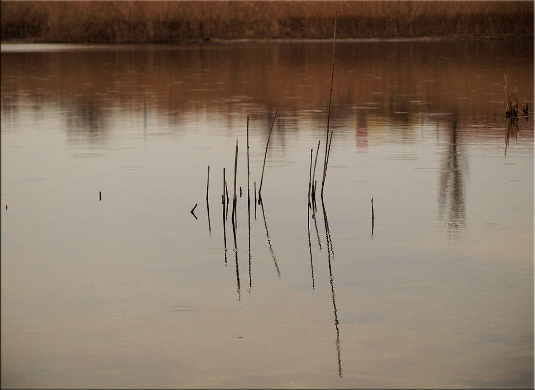 ����������� ����� ������  �� PhotoGeek.ru #������ ��� �������