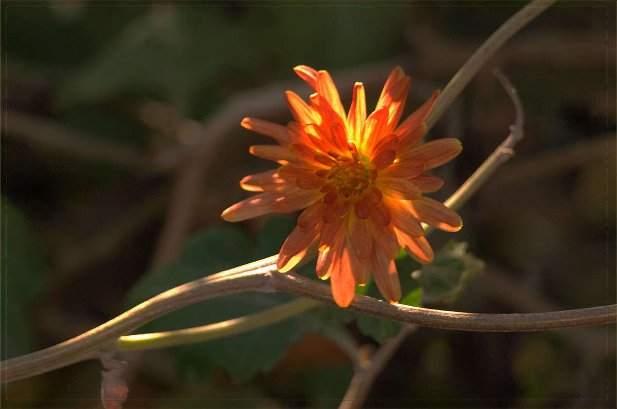 ������ ����� ����� ������  �� PhotoGeek.ru #������ ��� �������