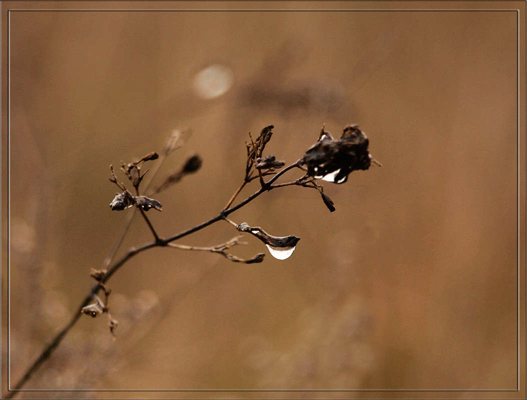 �������� ����� ������  �� PhotoGeek.ru #������ ��� �������