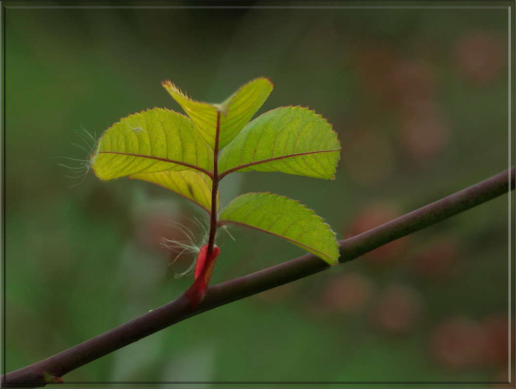 ������ 16 ����� ������  �� PhotoGeek.ru #������ ��� �������