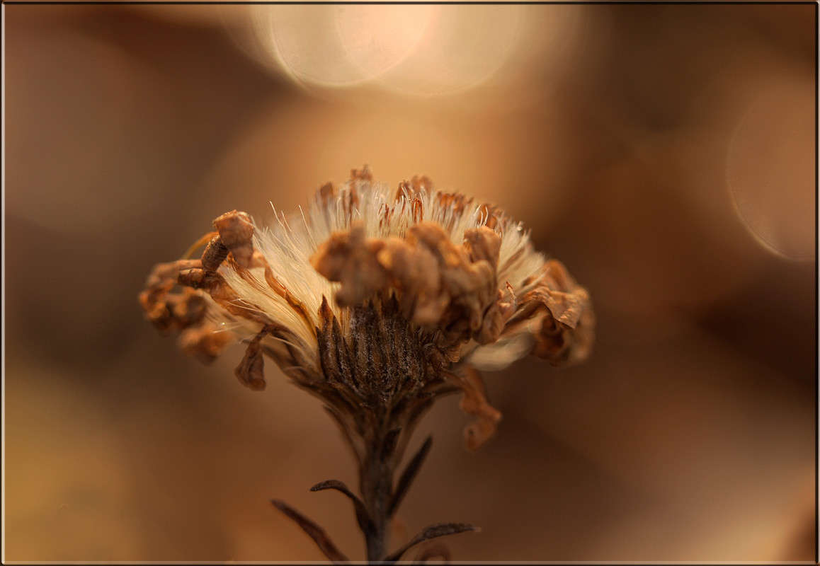 ������� �� �������� ����� ������  �� PhotoGeek.ru #������ ��� �������