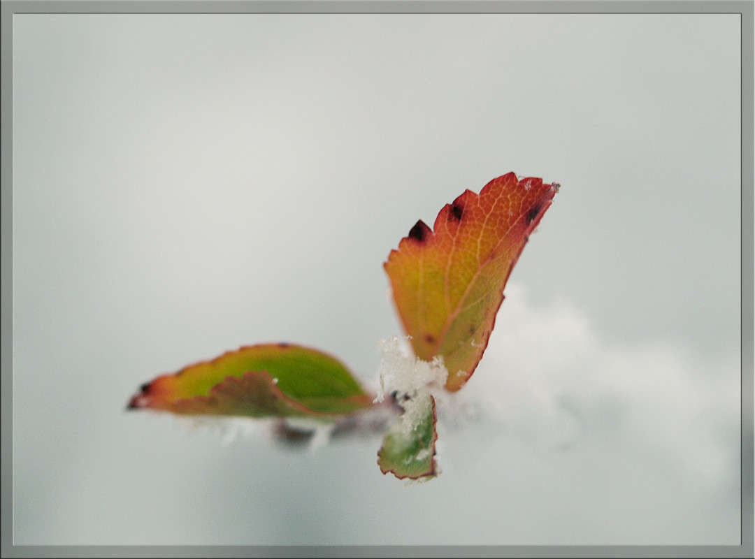 ������ ������� � ������ ���� ����� ������  �� PhotoGeek.ru #������ ��� �������