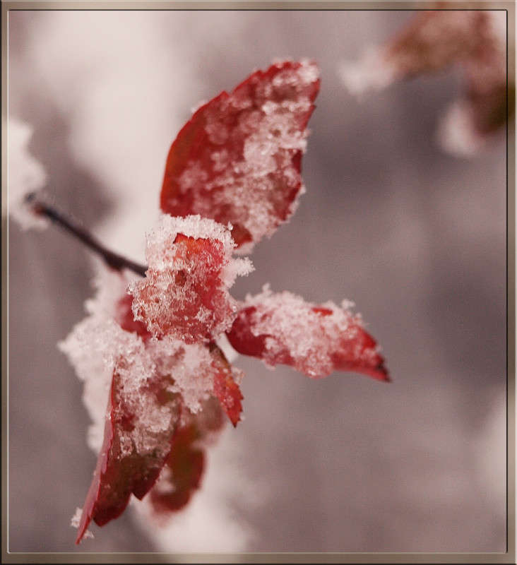 ������ ���� 01 ����� ������  �� PhotoGeek.ru #������ ��� �������