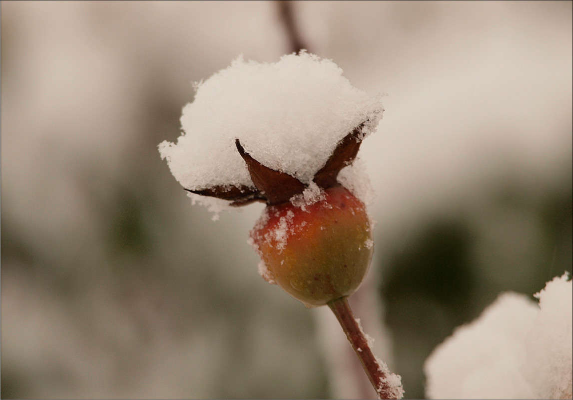 ������ ���� 02 ����� ������  �� PhotoGeek.ru #������ ��� �������